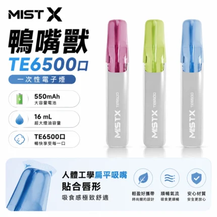 MISTX-TE6500-一次性拋棄式電子煙